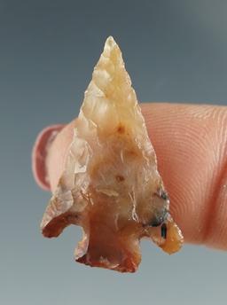 1 1/16" Columbia Plateau made from translucent brown and clear Agate. Columbia River, OR.