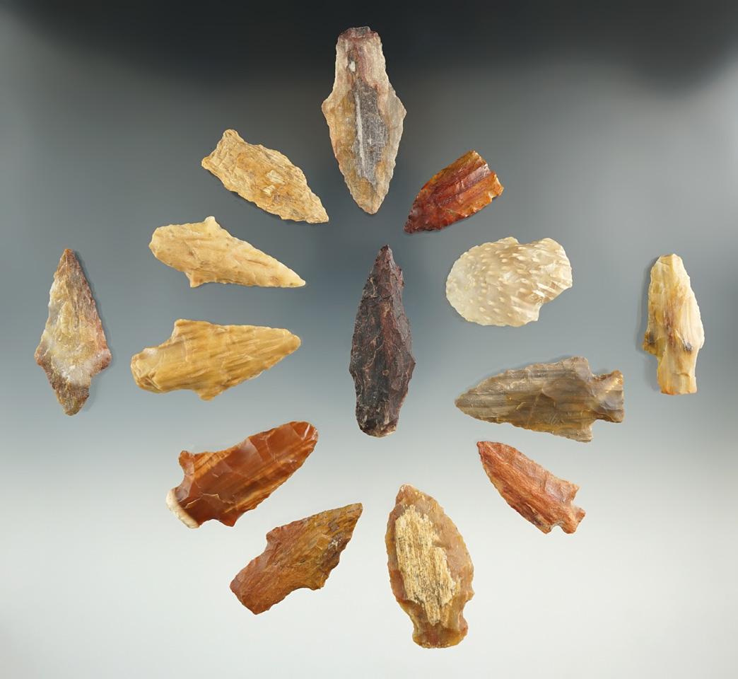 Group of 14 points made from petrified wood found in the Louisiana and Texas areas.