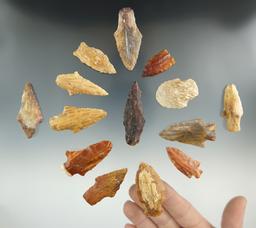 Group of 14 points made from petrified wood found in the Louisiana and Texas areas.