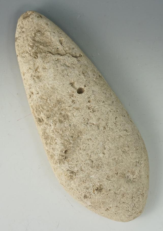 Large 10" long Spade found in Jackson County IL made from limestone with many embedded fossils.