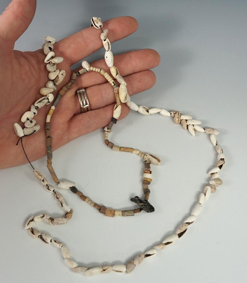 Pair of shell and stone bead necklaces. Largest is a 24" strand. The smaller necklace is a 13" stran