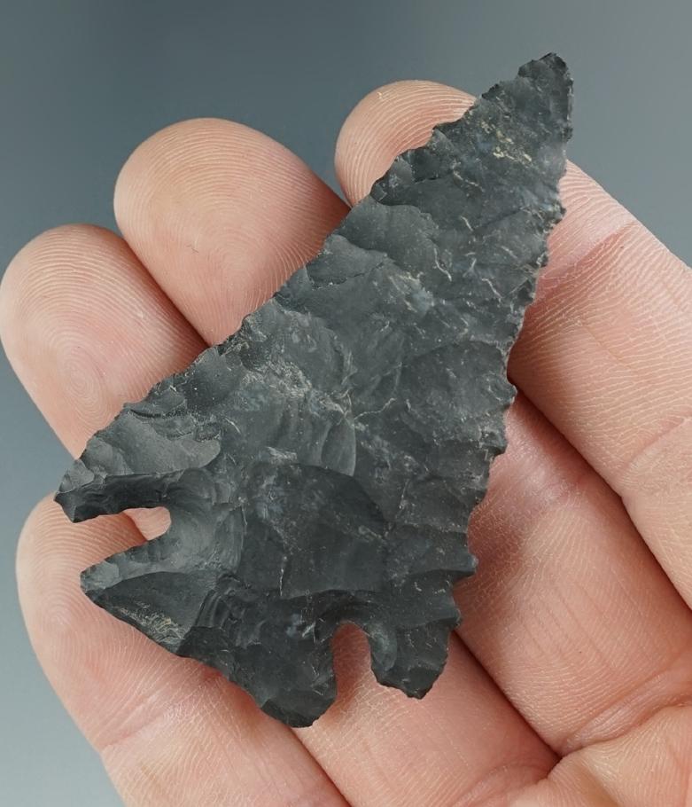 2 1/2" Archaic Notch Base Dovetail made from black Coshocton Flint, found in Fayette Co., Ohio.