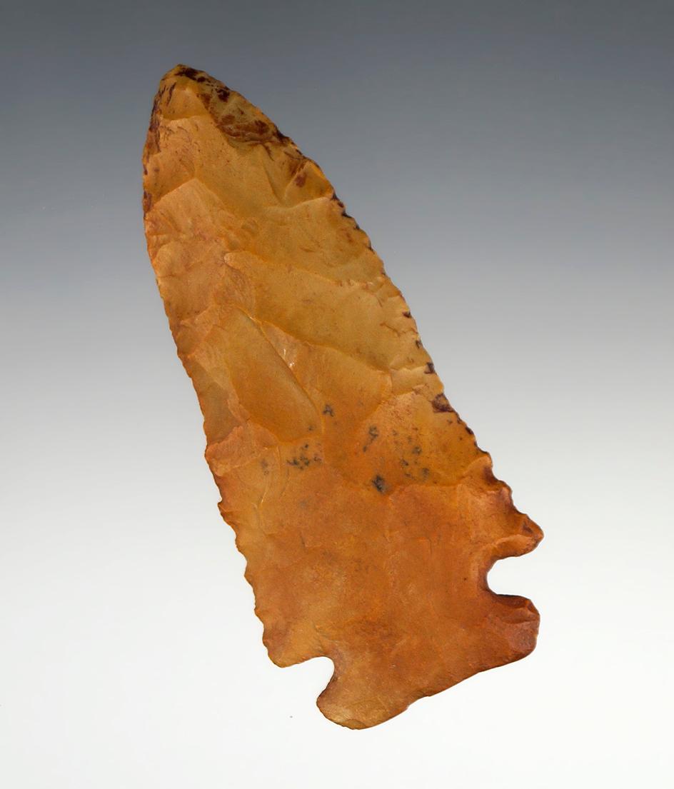 Beautiful material on this 3 1/8" Thebes - Creek stained Chert found in Illinois.  Dickey COA.