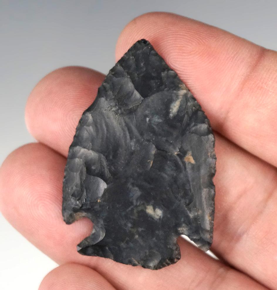 Very thin 1 3/4" Pentagonal point made from Coshocton Flint found in Ohio.