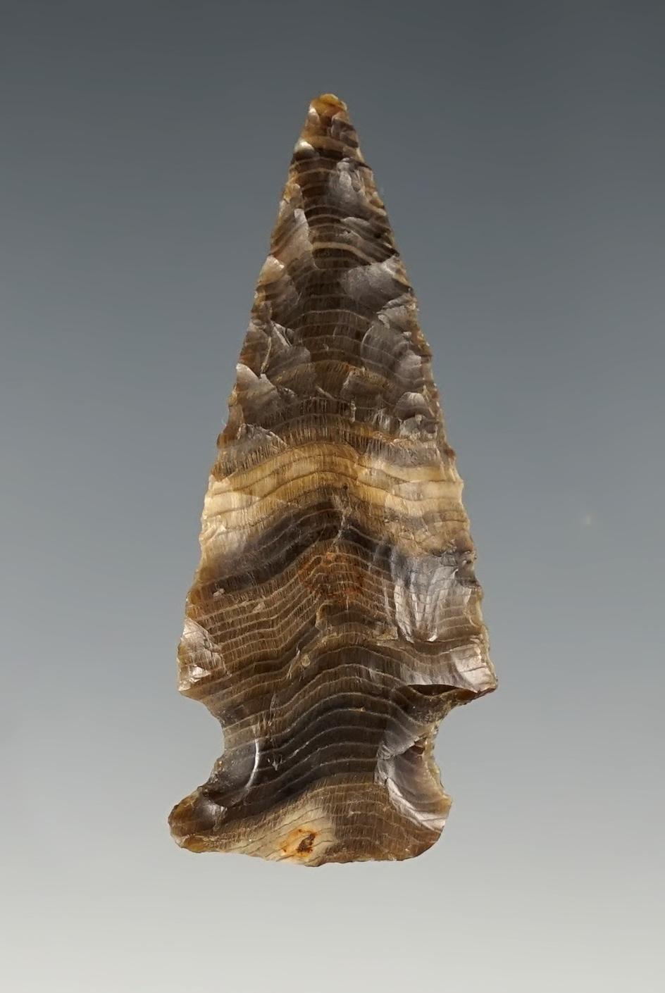 Beautiful 1 7/8" Wendover made from Petrified Wood. Columbia River, Washington.