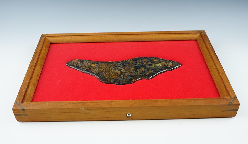 7 5/8" Sericho Pallasite Meteorite found in Eastern Kenya West of the village of Habaswein.