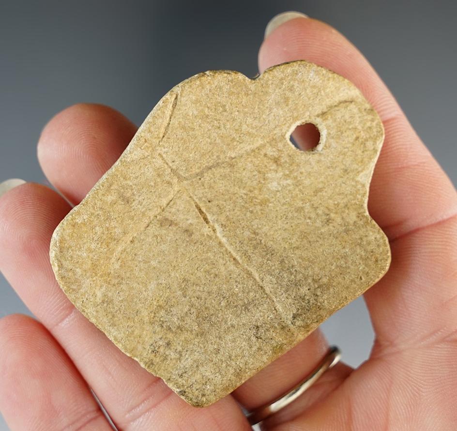 Unique! 2 3/16" Drilled Turtle Shell Pendant found in Hardin Co., Kentucky. Ex. Gary Noel.