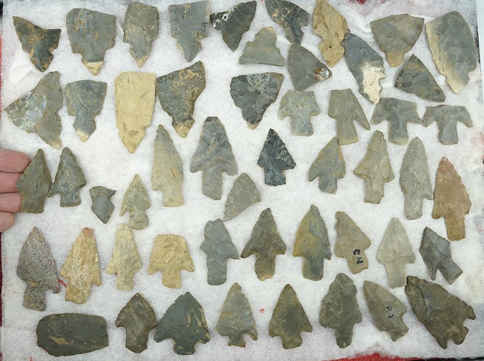 Huge lot of 50 plus points found in Harrison Co., Indiana by the Bob Crosier Family.