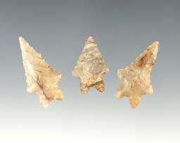 3 very well styled Bifurcate Points found near Alum Creek, Delaware Co., Ohio. Largest is 1 5/16".