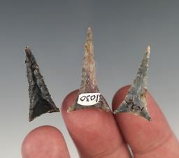 Set of 3 very fine Kentucky/Tennessee Triangle points. The largest is 1 3/8".