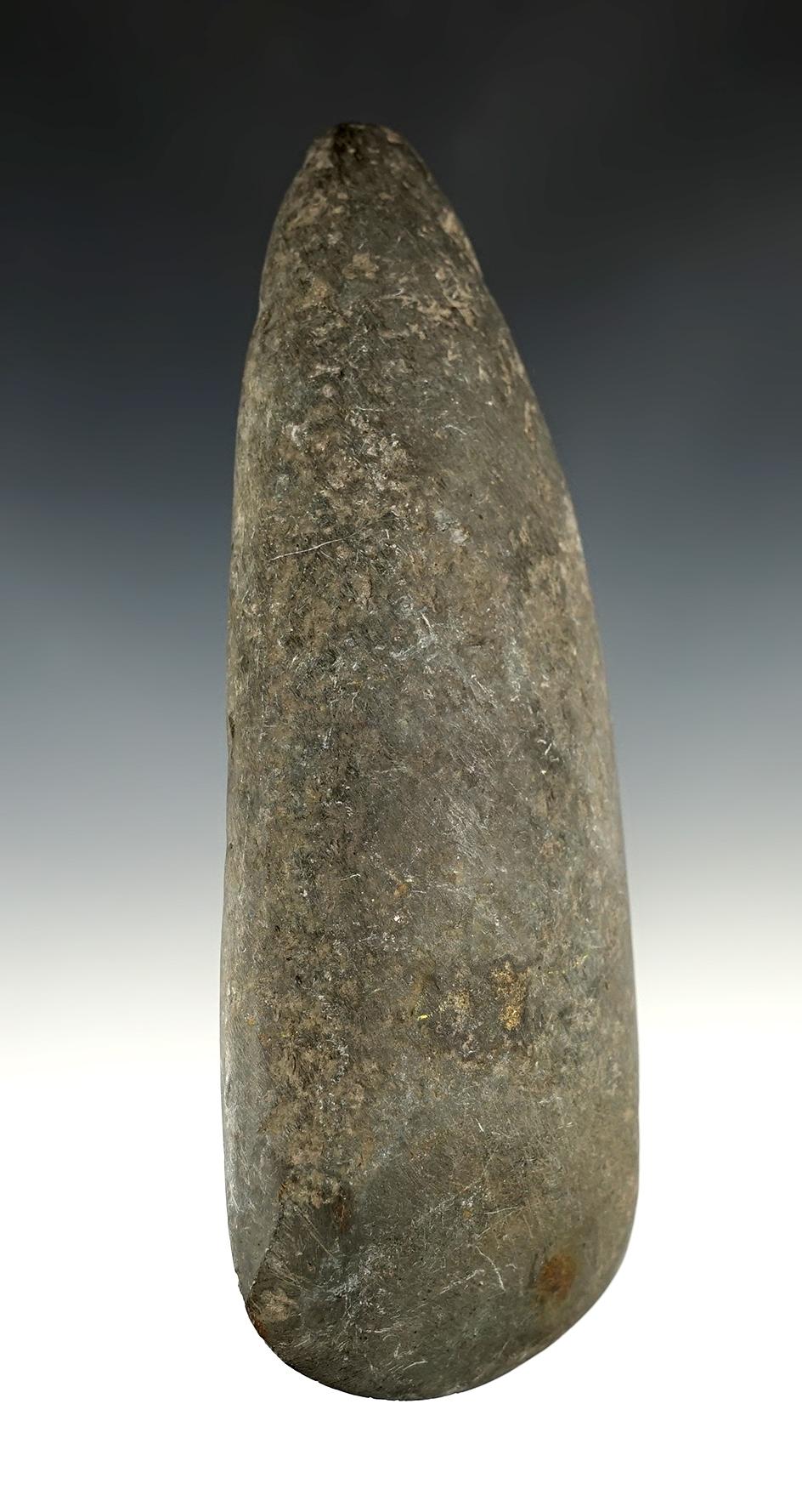 6" Hardstone Celt with sharp bit found in Lorain Co., Ohio. Ex. Vietzen Museum.