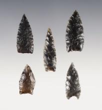 Set of 5 Obsidian points found around the Columbia Plateau area. The largest is 1 9/16".