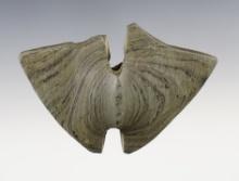 3 9/16" Double Notched Butteryfly Bannerstone found in Jackson Co., Michigan. Ex. Steve Scott.