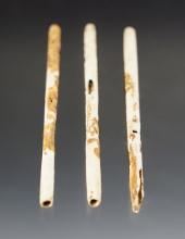 Set of 3 Shell Hair Pipes found at the White Springs Site, Geneva, New York. Largest is 4".
