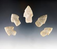 Set of 5 Flint Chalcedony Adena Points found in Ohio. The largest is 2 1/16".