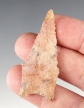 Nice edgework on this 2 3/16" Dalton made from colorful pink & purple Flint. Brown Co., Illinois.