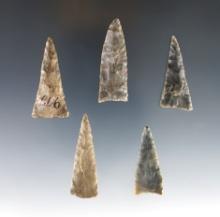Set of 5 fine Triangle Points found in the Kentucky/Tennessee area. The largest is 1 3/4".