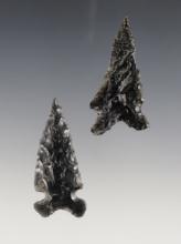 Pair of well styled Obsidian Points found in Nevada. Largest is 2 1/8".
