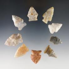 Set of 9 woodland points found in Ohio. Made from Flint Ridge Flint. The largest is 1 7/16".