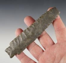 Large 5 5/16" Scottsbluff with an anciently damaged tip. Recovered in the Western U.S.