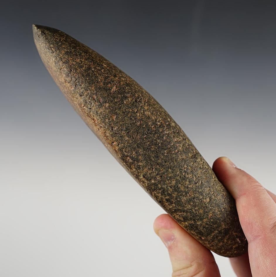 5 7/8" heavily patinated hardstone Celt recovered in Pickaway Co., Ohio.