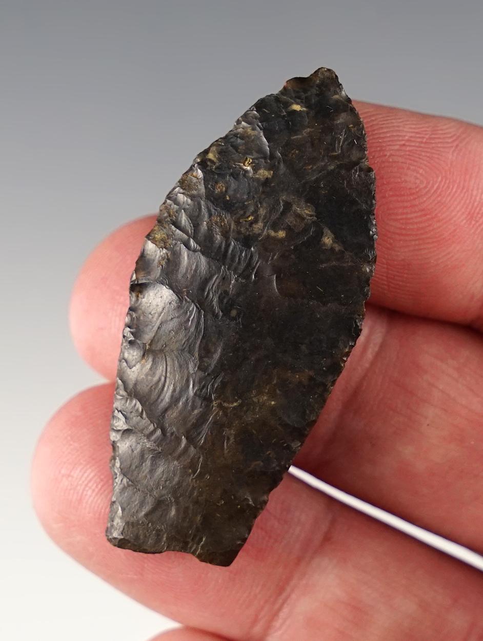 1 15/16" Paleo Northumberland Fluted Knife found in Crawford Co., Pennsylvania. COA.