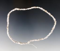 12" Strand of purple and white shell Wampum beads - Dann Site, Lima, Monroe Co., New York.