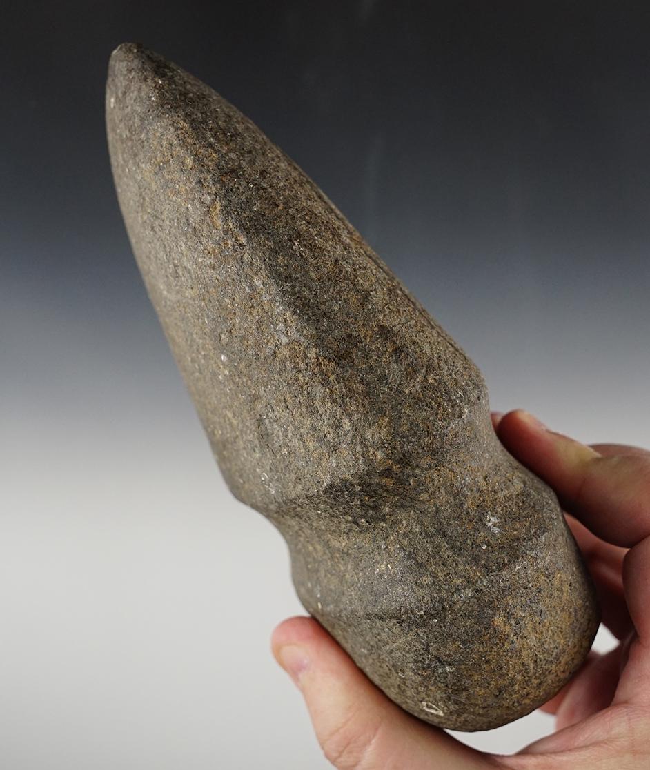 6 3/4" long Full Grooved Hardstone Axe found in Jay Co., Indiana. Ex. Gordon Kesler.