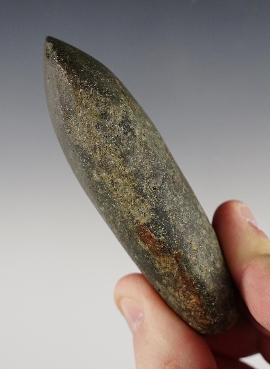 Nice 3 5/8" Hardstone Celt found in Northeast Pennsylvania.
