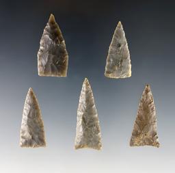 Set of 5 well made Triangle points found in the Kentucky/Tennessee area. The largest is 1 5/8".
