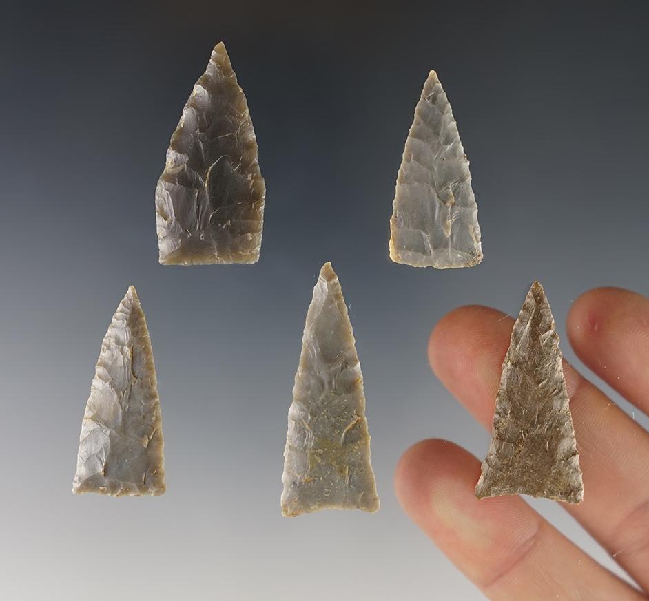 Set of 5 well made Triangle points found in the Kentucky/Tennessee area. The largest is 1 5/8".