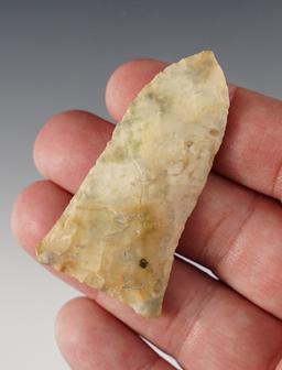 2 1/4" Paleo Jeff point found in the Tennessee area.