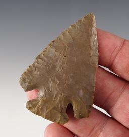 Fine 2 1/2" Lost Lake found in Lawrence Co., Tennessee. Ft. Payne Chert. Dickey COA.