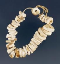 6" long strand of drilled shell beads found in Hardy, Arkansas by Henry Hudson Norman Jr.