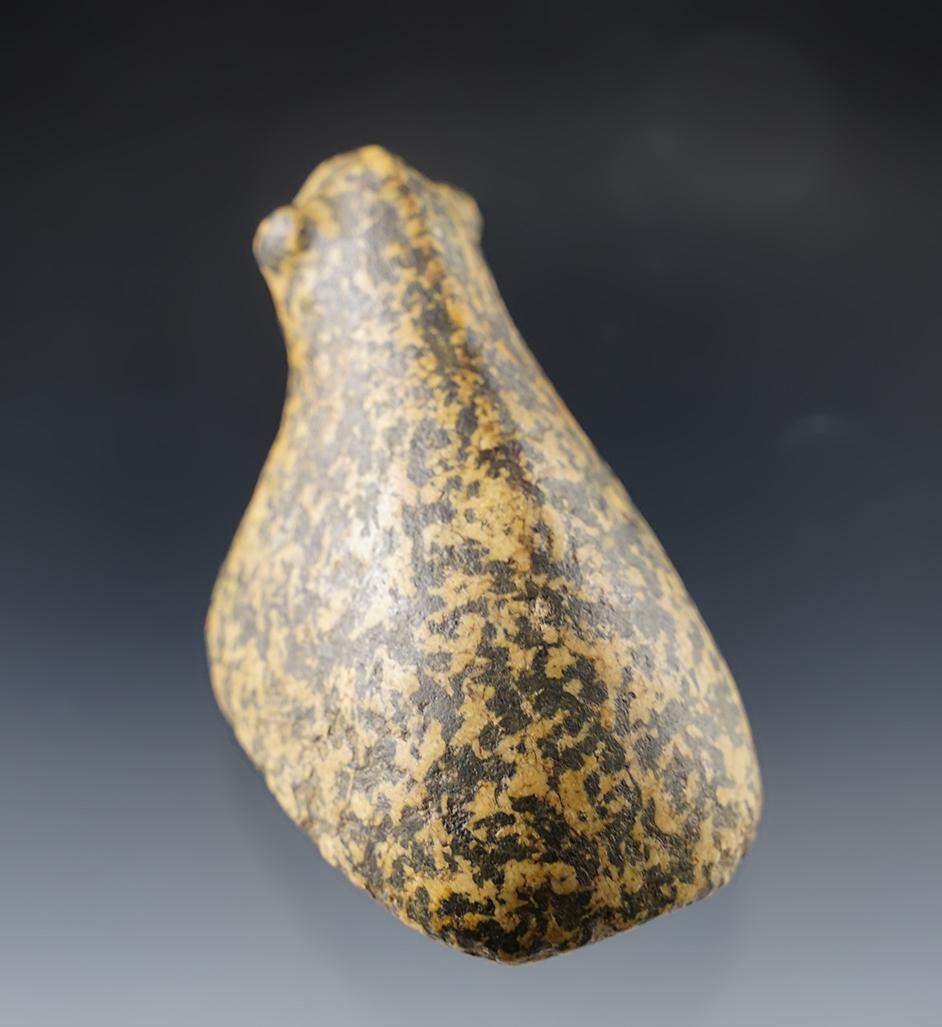 Sale Highlight! 3" x 1 3/4" Porphyritic Granite Bust-Type Birdstone Scioto co., Ohio. Pictured!