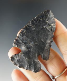 2 1/2" Archaic Thebes Bevel made from Coshocton Flint. Found in Ohio. Ex. Luther Smith.