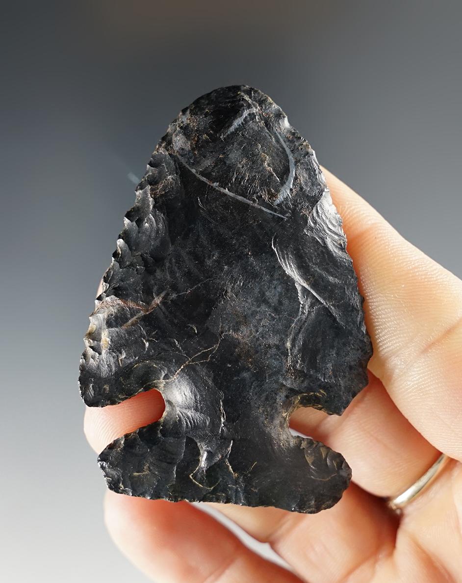 2 1/2" Archaic Thebes Bevel - patinated Coshocton Flint. Found in Ohio. Ex. Luther Smith.