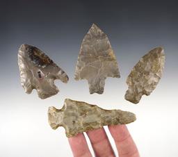 Set of 4 nice Woodland points found in the Ohio/Indiana area. The largest is 3 9/16".