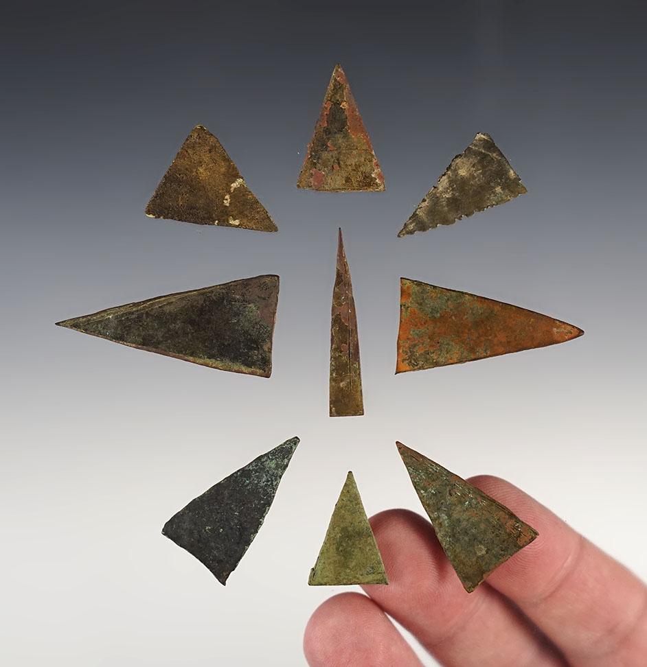 Group of 8 Kettle Points found at the Genoa Fort Site in Genoa, New York. Largest is 1 11/16".