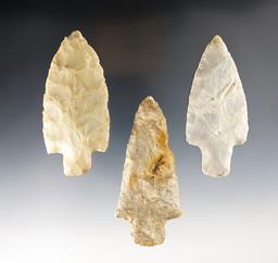 Set of 3 Ohio Adena points. All have minor modern retouch to the tip. The largest is 3 13/16".