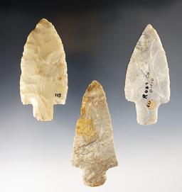 Set of 3 Ohio Adena points. All have minor modern retouch to the tip. The largest is 3 13/16".