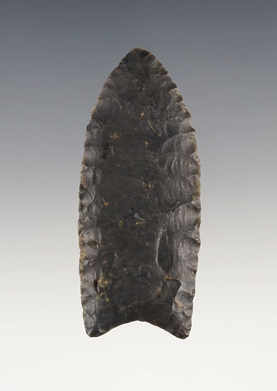 Classic style on this 2 7/16" Fluted Paleo Clovis found in Knox Co., Ohio. Berner COA.