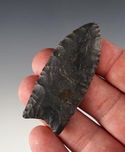 Classic style on this 2 7/16" Fluted Paleo Clovis found in Knox Co., Ohio. Berner COA.