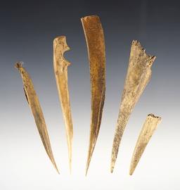 Set of 5 Bone Awls recovered at the Bloody Hill Site in Onondaga, New York. Largest is 4 5/8".