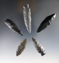 Set of 5 well flaked Obsidian points found in Lake Co., Oregon. The largest is 2 3/4".