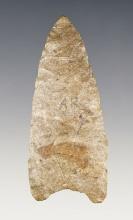 2 7/16" Paleo Allen found in Osage Co. Oklahoma. Ex. Glasser collection. Rogers COA.