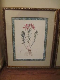 Pair of Framed and Matted Botanical Prints