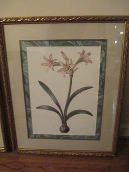 Pair of Framed and Matted Botanical Prints