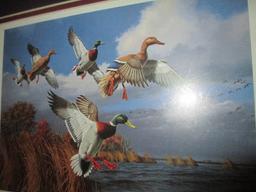 Framed and Matted Collector's Edition Print "Marsh Mallards" by David Maass, signed