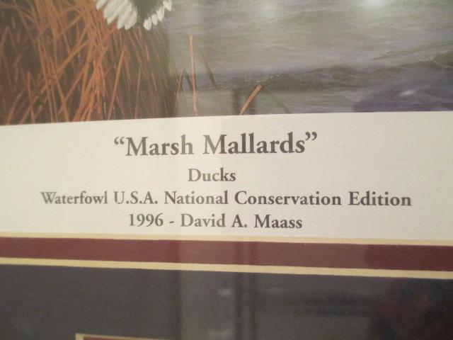 Framed and Matted Collector's Edition Print "Marsh Mallards" by David Maass, signed